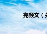 完颜文（关于完颜文介绍）