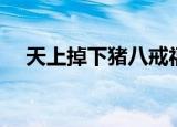 天上掉下猪八戒福迪（天上掉下猪八戒）