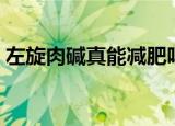 左旋肉碱真能减肥吗（左旋肉碱减肥有用么）