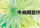 牛商网是什么网站（商牛网）