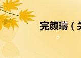 完颜璹（关于完颜璹介绍）