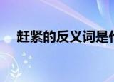 赶紧的反义词是什么字（赶紧的反义词）
