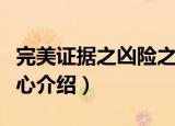 完美证据之凶险之心（关于完美证据之凶险之心介绍）