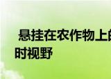  悬挂在农作物上的懒惰机器人为农民提供实时视野