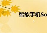  智能手机SoC市场同比增长6%