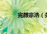 完颜宗浩（关于完颜宗浩介绍）