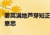 蒌蒿满地芦芽短正是河豚欲上时这句话是什么意思