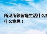 所见所领皆是生活什么意思男生朋友圈（所见所领皆是生活什么意思）