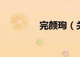 完颜珣（关于完颜珣介绍）