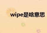 wipe是啥意思（双wipe是什么意思）