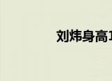 刘炜身高188（刘炜身高）