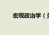 宏观政治学（关于宏观政治学介绍）