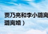 贾乃亮和李小璐离婚具体时间（贾乃亮和李小璐离婚）