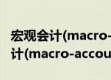 宏观会计(macro-accounting)（关于宏观会计(macro-accounting)介绍）