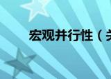宏观并行性（关于宏观并行性介绍）