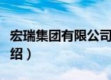 宏瑞集团有限公司（关于宏瑞集团有限公司介绍）