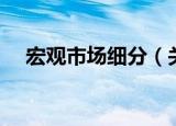 宏观市场细分（关于宏观市场细分介绍）