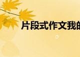 片段式作文我的生活（片段式作文）