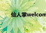 仙人掌welcome（仙人掌搜索引擎）