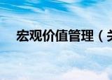 宏观价值管理（关于宏观价值管理介绍）