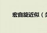 宏自旋近似（关于宏自旋近似介绍）