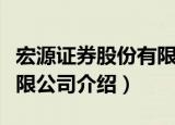 宏源证券股份有限公司（关于宏源证券股份有限公司介绍）