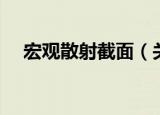 宏观散射截面（关于宏观散射截面介绍）