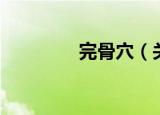 完骨穴（关于完骨穴介绍）