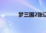 梦三国2张辽出装（张辽出装）