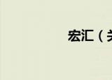 宏汇（关于宏汇介绍）