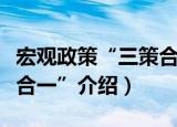 宏观政策“三策合一”（关于宏观政策“三策合一”介绍）