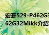 宏碁529-P462G32Mikk（关于宏碁529-P462G32Mikk介绍）