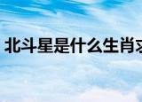 北斗星是什么生肖求解（北斗星是什么生肖）