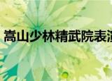 嵩山少林精武院表演一队（嵩山少林精武院）