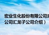 宏业生化股份有限公司汇龙子公司（关于宏业生化股份有限公司汇龙子公司介绍）