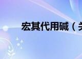宏其代用碱（关于宏其代用碱介绍）