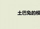 土巴兔的模式（土巴兔模型）