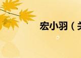 宏小羽（关于宏小羽介绍）