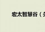 宏太智慧谷（关于宏太智慧谷介绍）