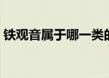 铁观音属于哪一类的茶（铁观音属于哪类茶）
