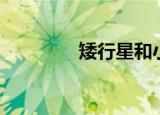 矮行星和小行星（矮行星）