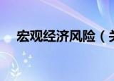 宏观经济风险（关于宏观经济风险介绍）