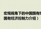 宏观视角下的中国国有经济控制力（关于宏观视角下的中国国有经济控制力介绍）
