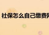 社保怎么自己缴费网上（社保怎么自己缴费）