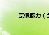 宗像腕力（关于宗像腕力介绍）