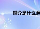 媒介是什么意思（嫖娼什么意思）