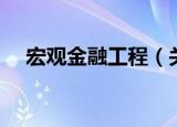 宏观金融工程（关于宏观金融工程介绍）