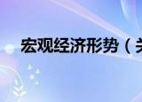 宏观经济形势（关于宏观经济形势介绍）