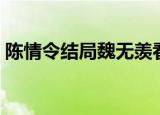 陈情令结局魏无羡看到了什么（陈情令结局）