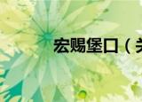 宏赐堡口（关于宏赐堡口介绍）